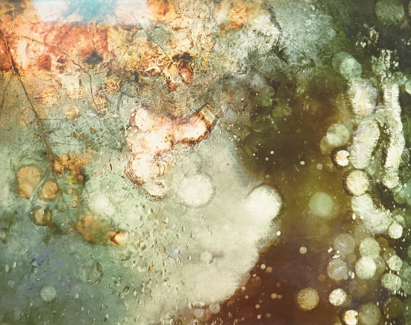 Billie Newey (Contemporary), 'Fractured Jersey', oil on board, label verso, 49 x 36cm